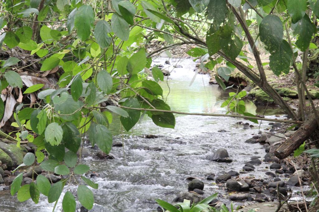 Hotel Monte Real La Fortuna Ngoại thất bức ảnh