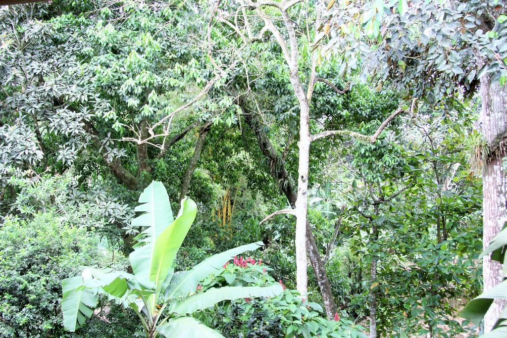 Hotel Monte Real La Fortuna Ngoại thất bức ảnh